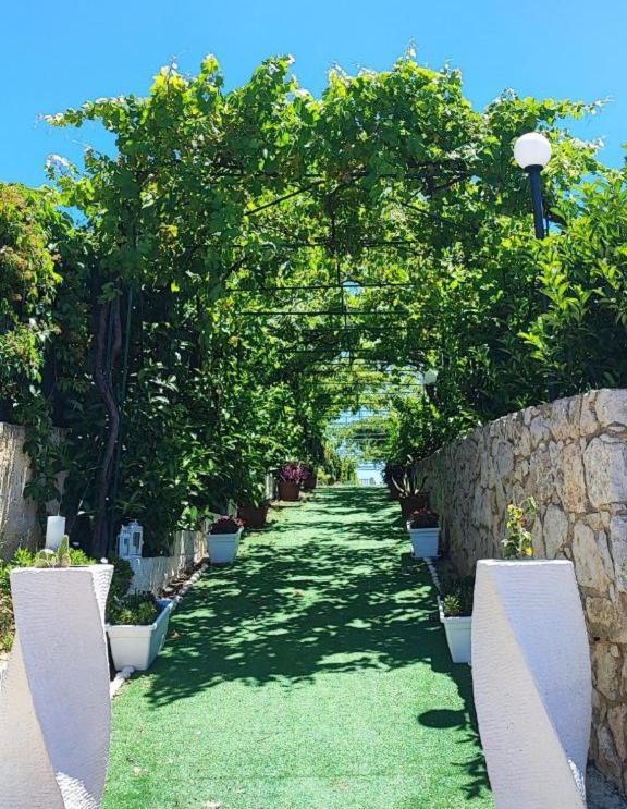 B&B Villa Antonella ピアッツァ・アルメリーナ エクステリア 写真
