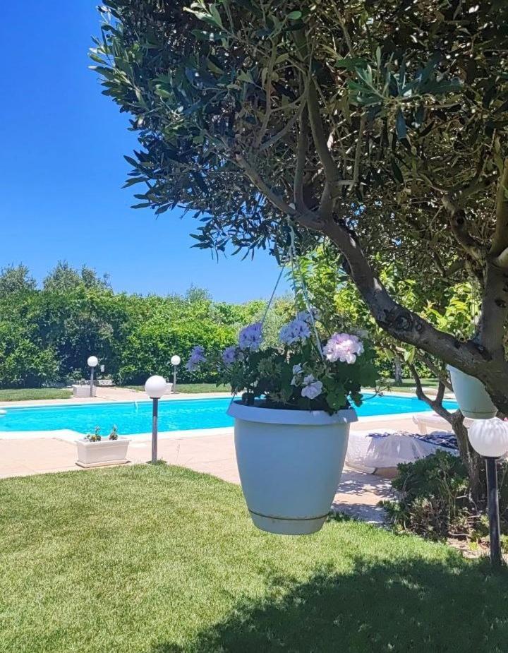 B&B Villa Antonella ピアッツァ・アルメリーナ エクステリア 写真