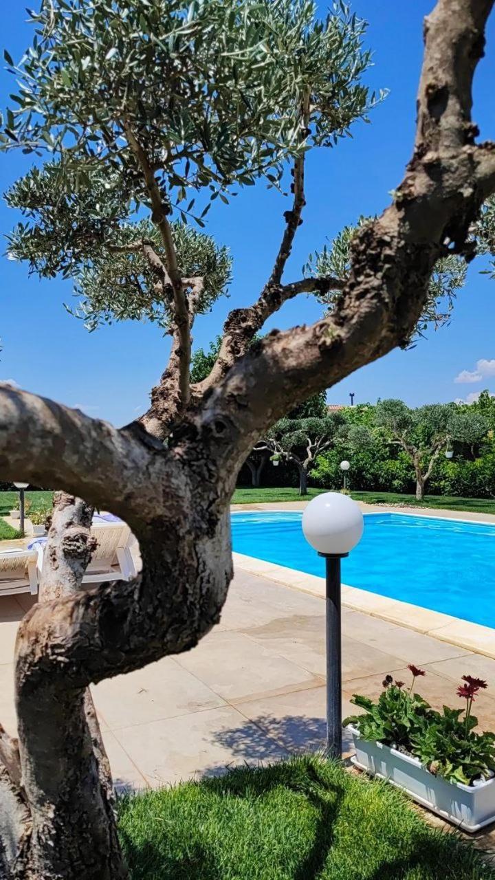 B&B Villa Antonella ピアッツァ・アルメリーナ エクステリア 写真